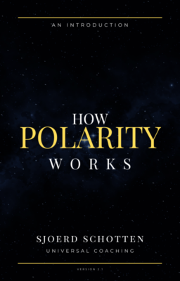 ebook How Polarity Works